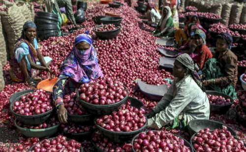 ভারত পেঁয়াজ রপ্তানিতে নিষেধাজ্ঞা তুলে নিলো 