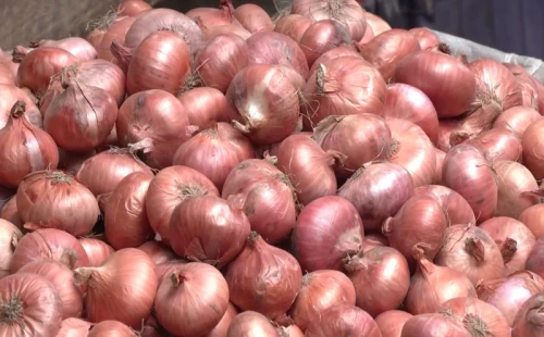 নিষেধাজ্ঞা তুলে নিলেও আমদানি করা যাচ্ছে না ভারতীয় পেঁয়াজ 