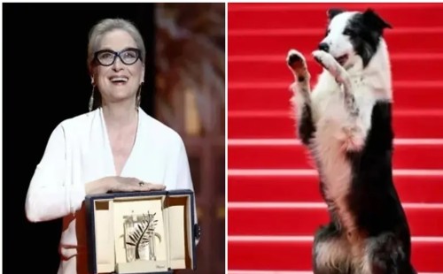 কান উৎসবের শুভ সূচনা করলেন মেরিল স্ট্রিপ 