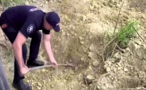 জীবন্ত অবস্থায় কবর, চারদিন পর উদ্ধার বৃদ্ধ 