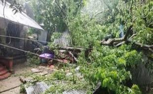 রিমাল এর তাণ্ডবে বিদ্যুৎ বিচ্ছিন্ন ২ কোটি ৩৫ লাখ গ্রাহক 