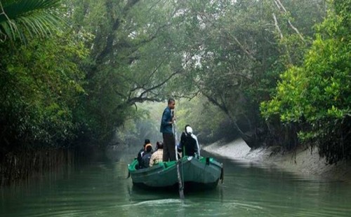 সুন্দরবনে প্রবেশে ৩ মাসের নিষেধাজ্ঞা 