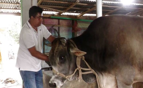 'জায়েদ খানের' দাম উঠলো ১০ লাখ টাকা 