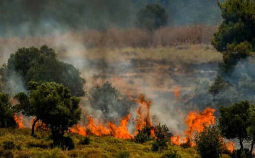 ইসরায়েলে ২০০-র বেশি রকেট ছুড়েছে হিজবুল্লাহ! 