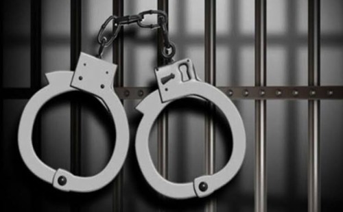 ডিএমপির অভিযানে গ্রেপ্তার ১৩ 