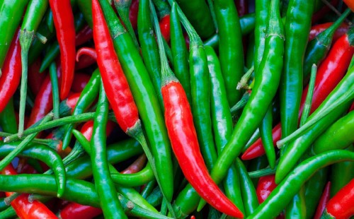 চট্টগ্রামে কাঁচা মরিচের কেজি হাজার ছুঁই ছুঁই 