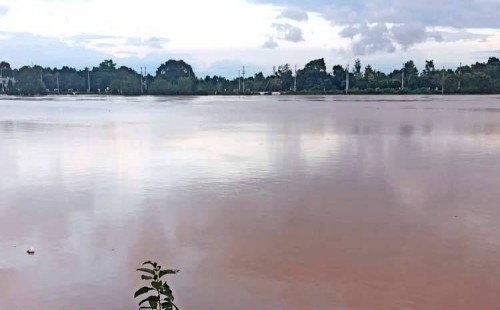 পানি কমলেও বিপদ কাটেনি গোমতী নদীর 