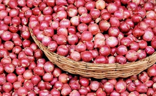 পেঁয়াজের দাম কমার সুবাতাস 