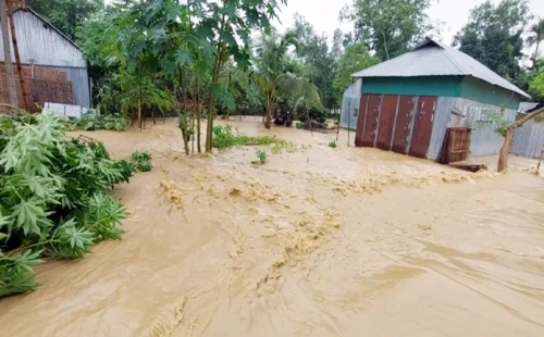 শেরপুরে বন্যার চরম অবনতির আশঙ্কা বিশেষজ্ঞের 