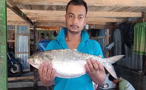৬৮৪০ টাকায় বিক্রি হলো এক ইলিশ 