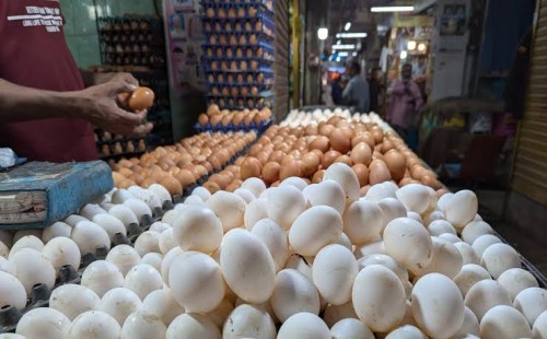 সাড়ে ১০ টাকায় মিলবে ডিম, বিক্রয় কর্মসূচির উদ্বোধন 