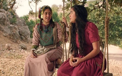 ফিলিস্তিনের ১৯টি সিনেমা সরিয়ে দিল নেটফ্লিক্স 