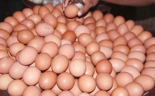 রোববার থেকে রাজধানীর ১৩ স্থানে কম দামে মিলবে ডিম 