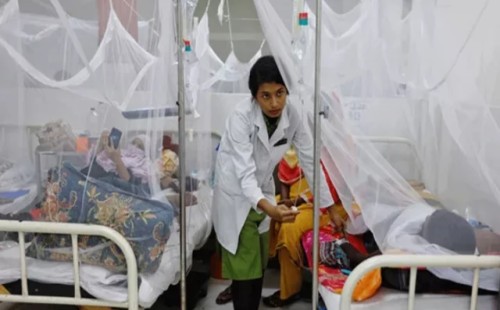 ডেঙ্গু কেড়ে নিলো আরও ১০ জনের প্রাণ 