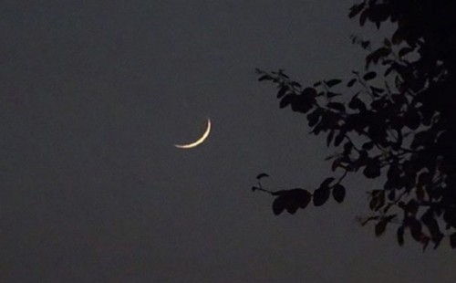 দেখা যায়নি চাঁদ, জমাদিউস সানি শুরু বুধবার 