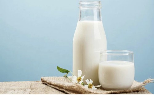 দুধের সঙ্গে যেসব জিনিস মেশালে পুষ্টিগুণ বাড়বে 