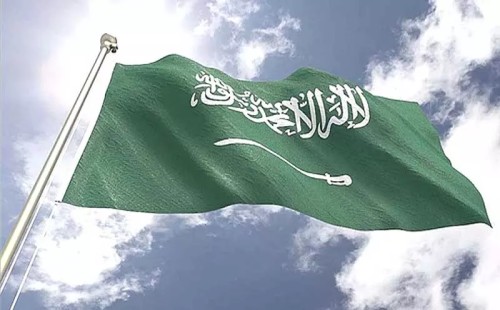 সৌদি আরবে ১৯ হাজারেরও বেশি অভিবাসী গ্রেপ্তার 