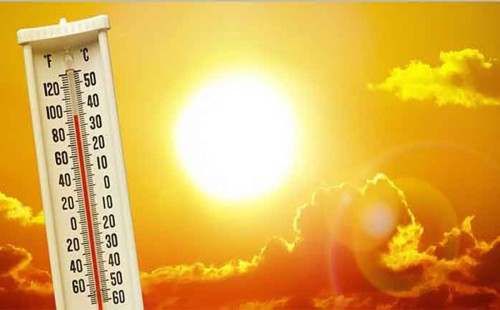 পৃথিবীর উষ্ণতম বছর ২০২৪ সাল 