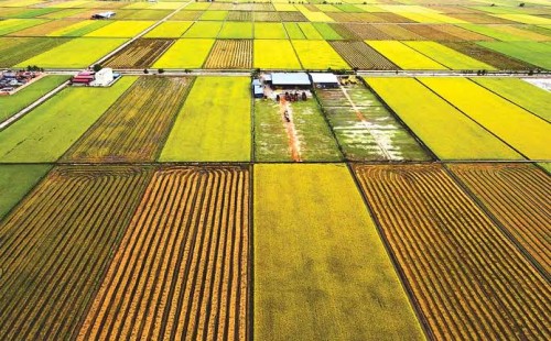 প্রতিবেশীর সঙ্গে জমি-জমা সংক্রান্ত বিরোধ নিয়ে ইসলাম কী বলে 