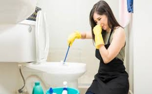 বাথরুম দুর্গন্ধমুক্ত রাখার উপায় 