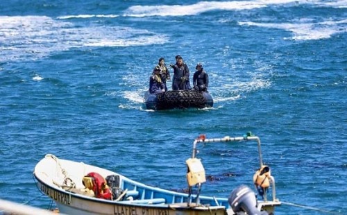 চিলিতে পর্যটকবাহী নৌকা ডুবে নিহত ৬ 