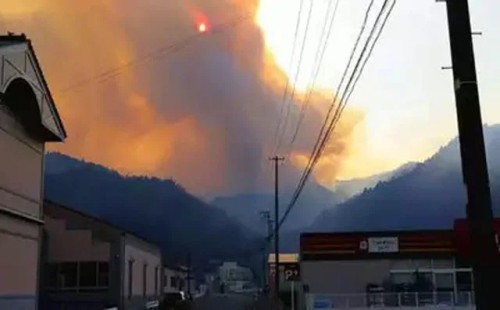 এবার দাবানল জাপানে 