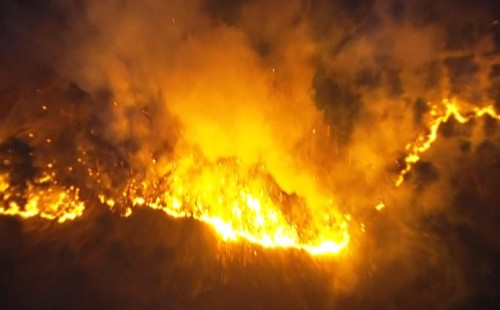 দাবানলের বিরুদ্ধে জাপানের লড়াই 