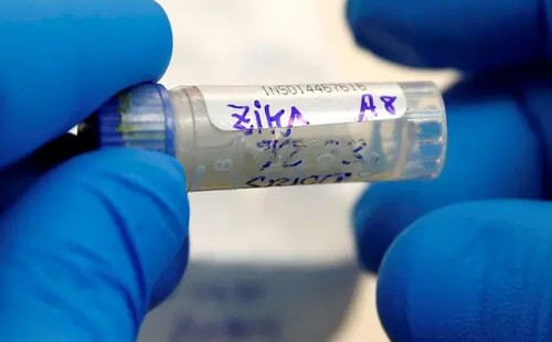 দেশে প্রথমবারের মতো জিকা ভাইরাসের ক্লাস্টার শনাক্ত 