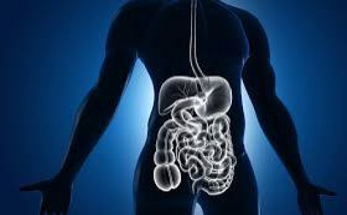 হজম শক্তি বাড়াতে যা করবেন 