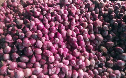 হিলিতে কেজি প্রতি ১০ টাকা কমছে পেঁয়াজের দাম 