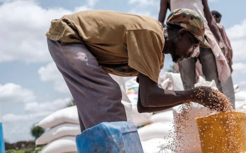 ইথিওপিয়ায় সংঘাতের শঙ্কা 