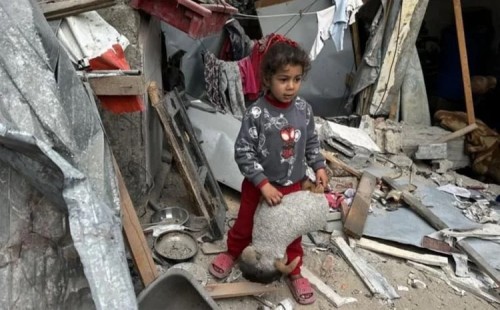 গাজায় আরও ১৩ জন নিহত 