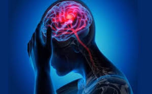 স্নায়ুতন্ত্রের ক্ষতি হয় কীভাবে 