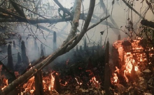 সুন্দরবনের আগুন নেভানোর শেষ ভরসা জোয়ারের পানি 