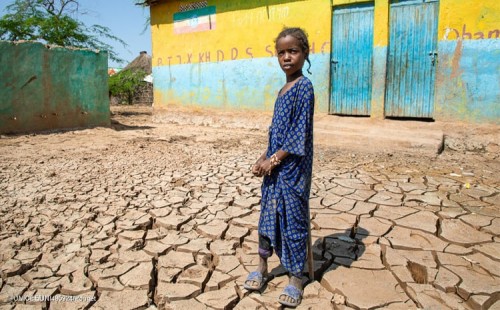 অপুষ্টিতে বিশ্বের ১ কোটি ৪০ লাখ শিশু 
