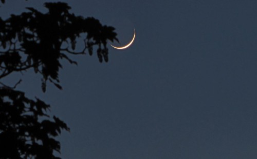 সন্ধ্যায় বৈঠক চাঁদ দেখা কমিটির, ঈদের তারিখ জানা যাবে আজ 