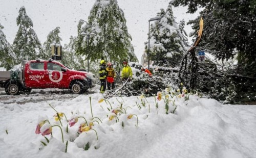 আল্পসে ঝড়, নিহত ১, নিখোঁজ ২ 