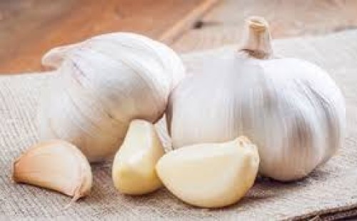 রসুনের আছে বিশাল স্বাস্থ্যগুণ 