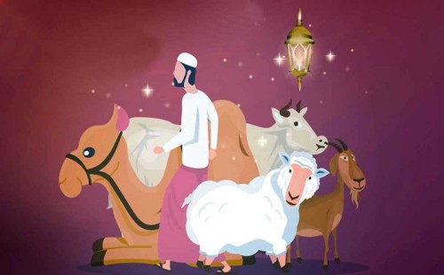 কোরবানি না দিয়ে কী আকিকা করা যাবে ? 