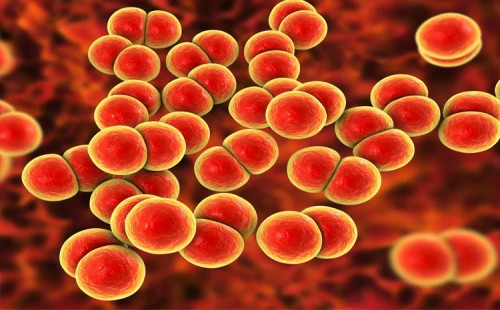 গনোরিয়া রোধে ইংল্যান্ডে টিকা কর্মসূচি 