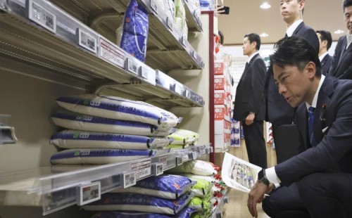 চালের দাম কমানোর প্রতিশ্রুতি 