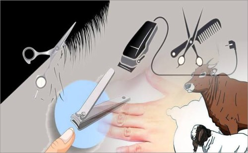 কোরবানির কতদিন আগে চুল-নখ কাটতে হয়? 