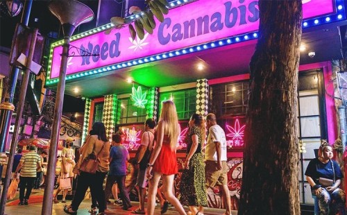 গাঁজা বিক্রিতে বিধিনিষেধে উদ্বেগ 