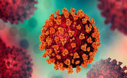 করোনায় আরও দুইজনের মৃত্যু, শনাক্ত ৭ 