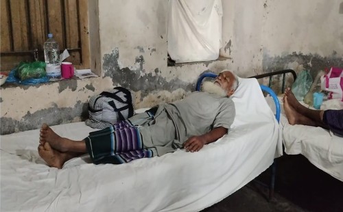 ঘাস কাটার সময় রাসেল ভাইপারের ছোবল, পলিথিনে সাপ নিয়ে হাসপাতালে কৃষক 