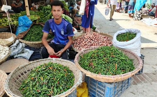 দুর্গাপুরে মরিচের দামে খুশি চাষিরা 