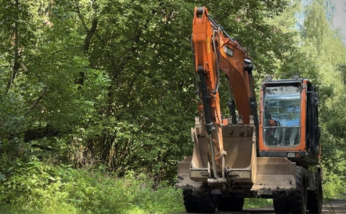 রাশিয়ায় জাতীয় উদ্যান রক্ষার লড়াই 