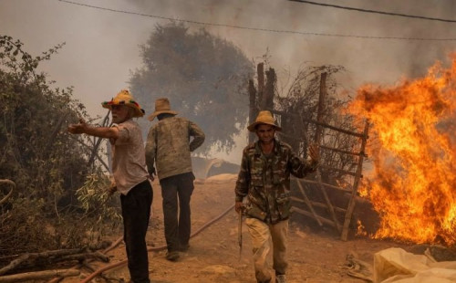 দাবানলে পুড়ছে মরক্কো 