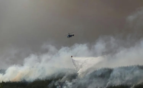 গ্যালিপোলিতে দাবানল 