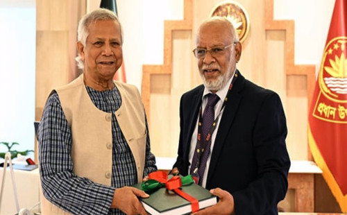 ৭৮ জন কর্মকর্তাকে পদোন্নতির সুপারিশ, প্রধান উপদেষ্টার কাছে প্রতিবেদন জমা 